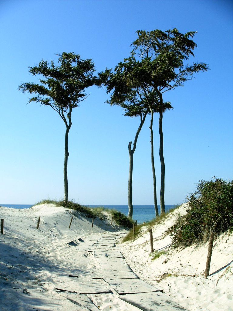 Herbst am Strand by gemma81de