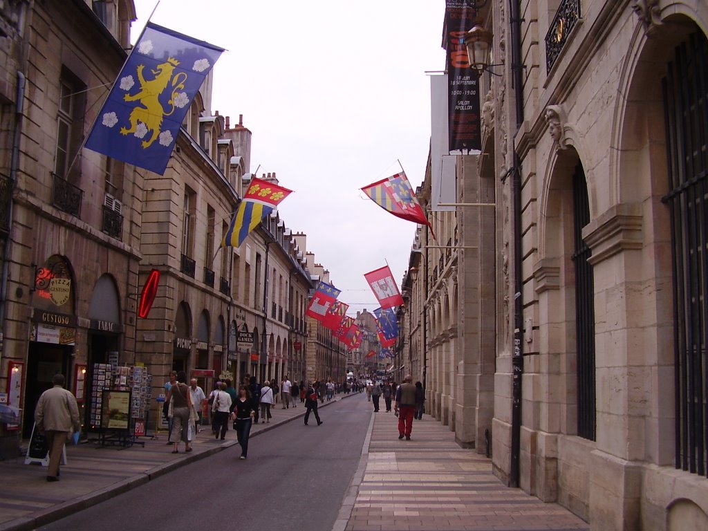 Dijon by Christophe C