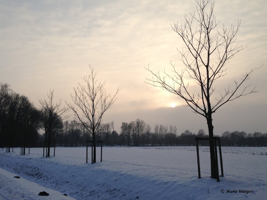 Erste Januar-Sonne - ganz zart, ganz kurz nur... by Maria Wargers