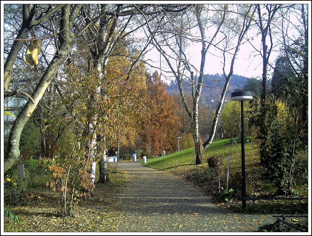 November Botanischer Garten Freiburg - Botany Photography 2012 by jettcom