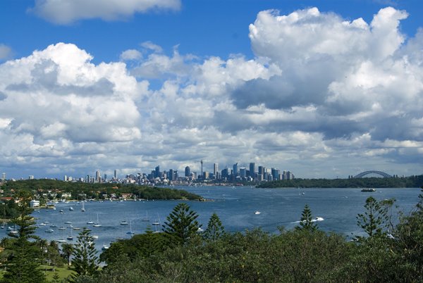 Sydney & the Harbour by wolfgang_eichhorn