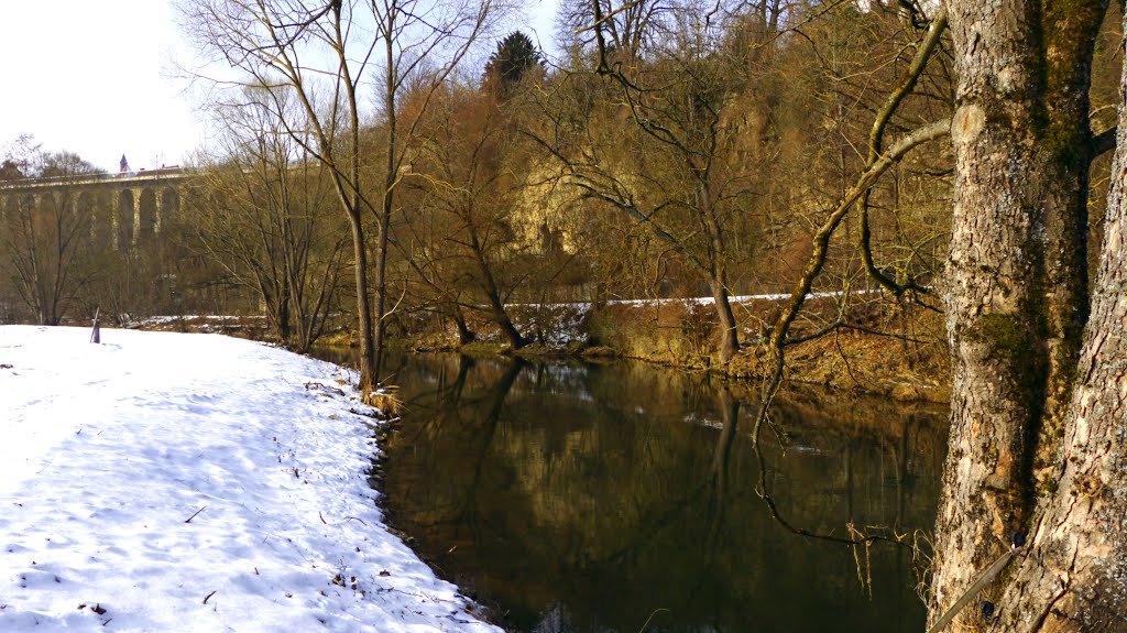 The River Neckar Nearly Rottweil by Dg-505