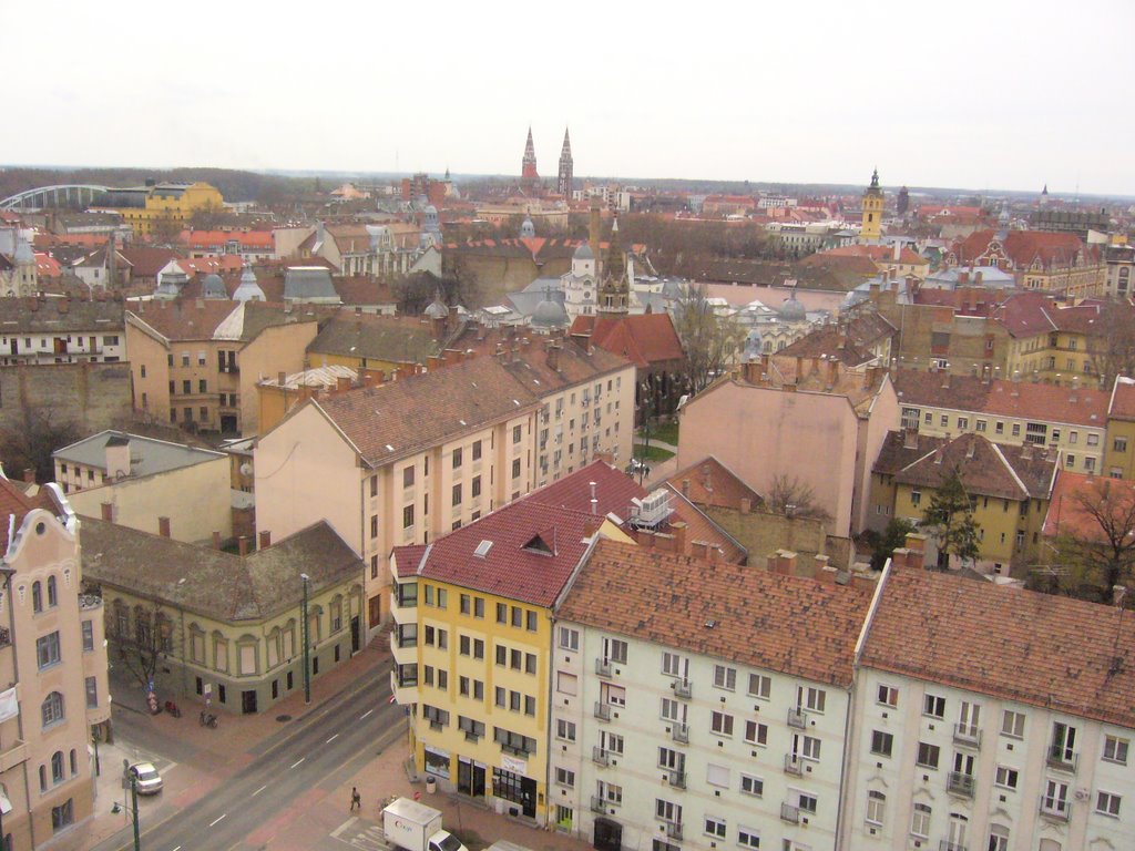 Szeged_from Water Tower by Cedrus