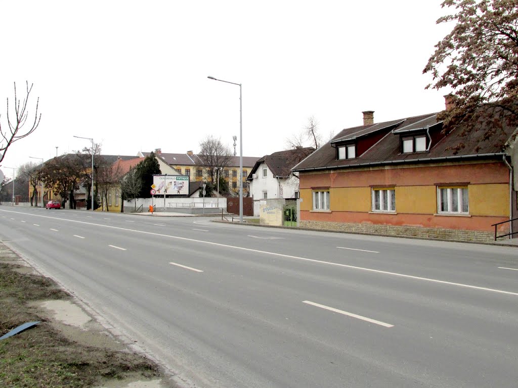 201301261530 Soroksár főutcája, a Grassalkovich út (a Tárcsás utcánál) by Harmadik