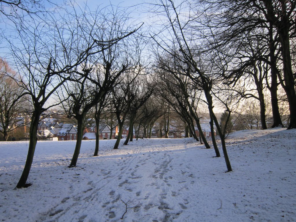 Verdin Park by crazyhorse1948