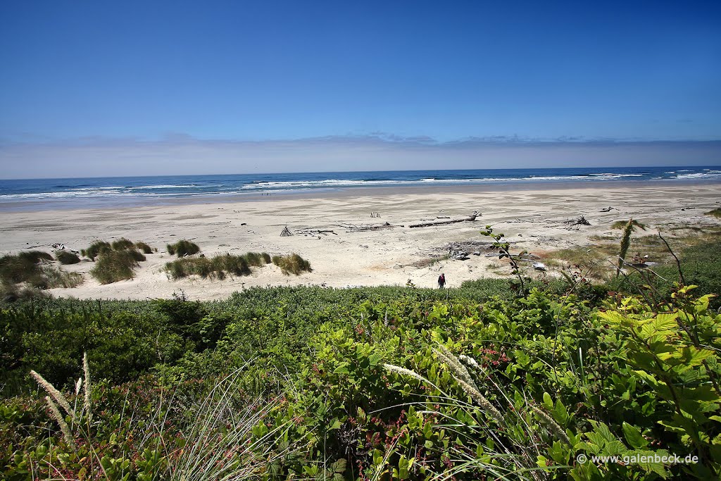 Driftwood Beach State Recreation Site by www.galenbeck.de