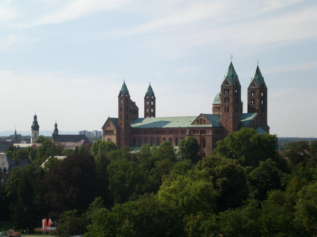 Dom zu Speyer - Blick aus dem Riesenrad by Anninger