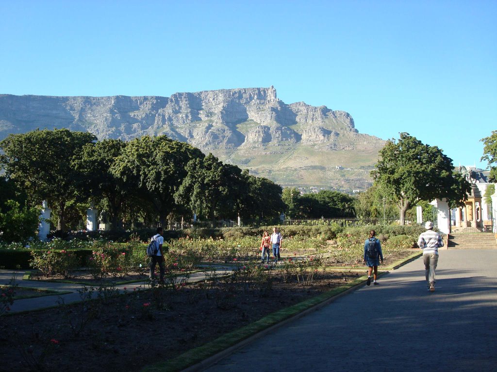 Company's Garden and Table Mountain by Emiliano Homrich