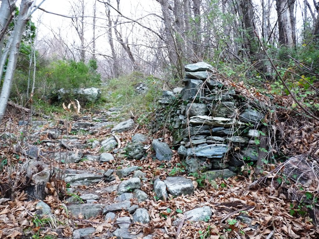 Mandriale : chemin vers la chapelle Saint Jean en décembre by Marc Lerda