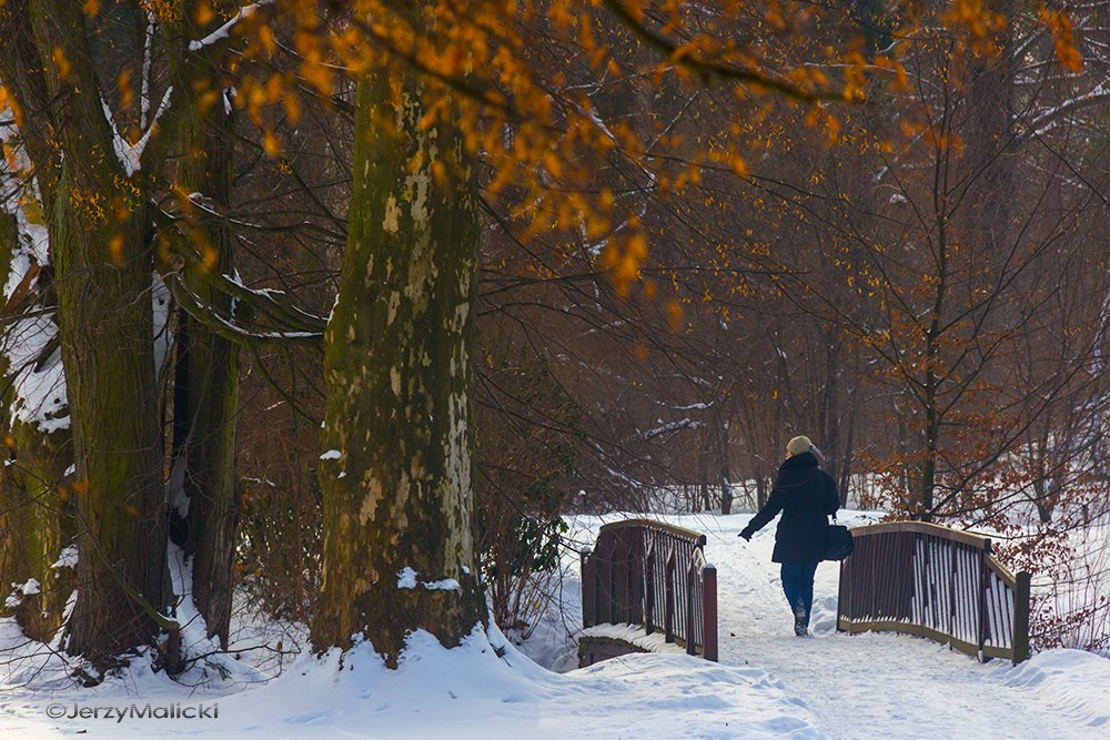 Park Mużakowski by Jerzy Malicki