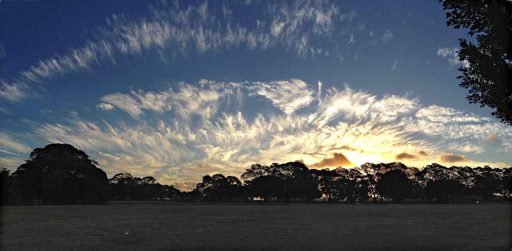 Moore Park, New South Wales, Australia, 25 January 2013 by gbfernie4