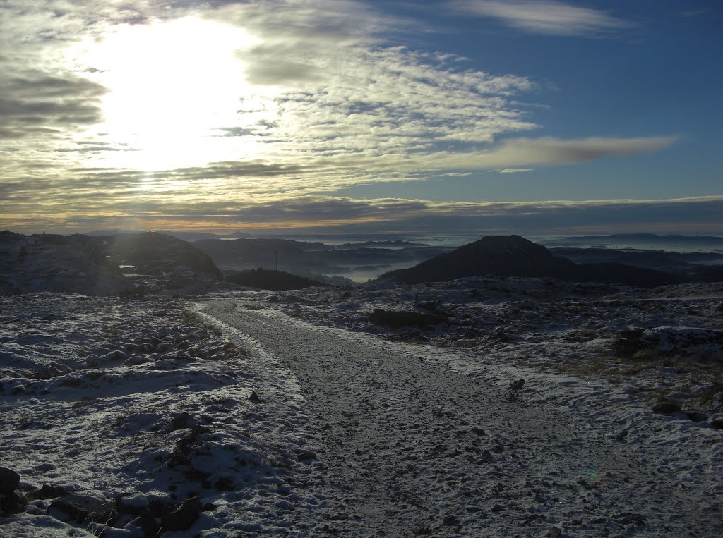 Looking south sunny january by Mona Lygre