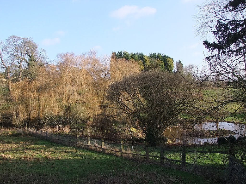 View from Long Crendon by Peter Gooding