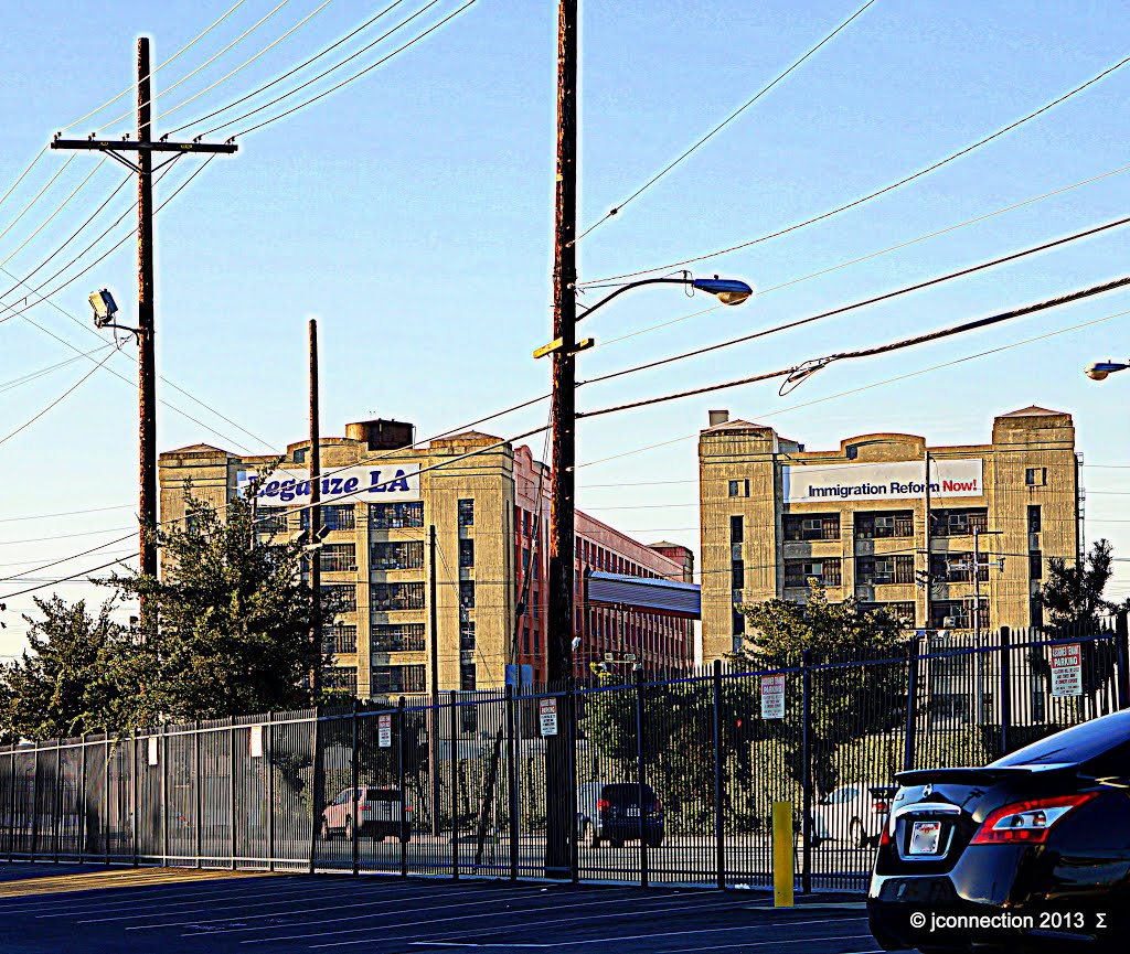 Legalize L.A. • American Apparel • Skid Row by Easy Street Images ©