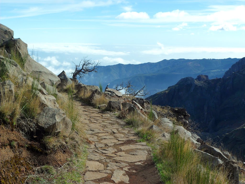 Path to Pico Ruivo by SunnyDays☼