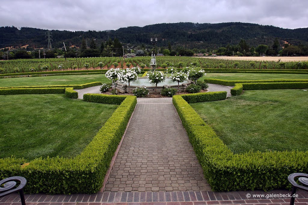 Ledson Winery by www.galenbeck.de