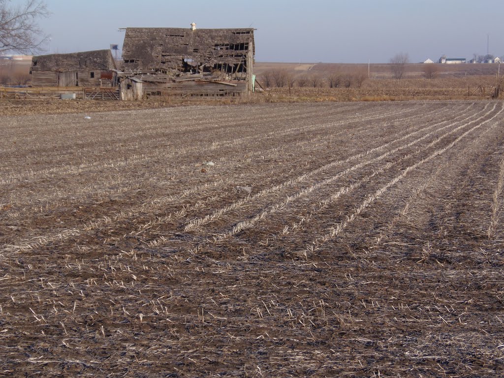 Old barn by embryojoe