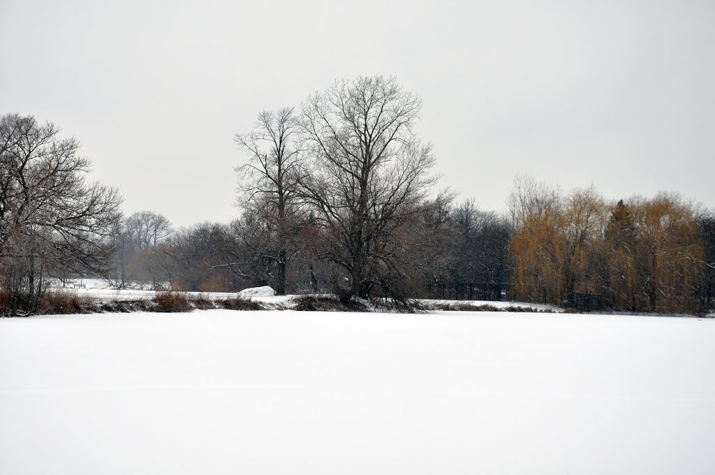 It is snowing, it is cold, it is Winter in Washington Park - The bare trees & the frozen lagoon by Antoine Jasser