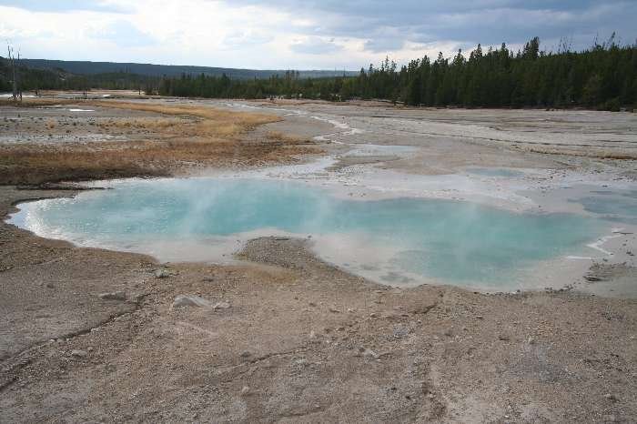 Norris Geyser Basin by Frank Merfort