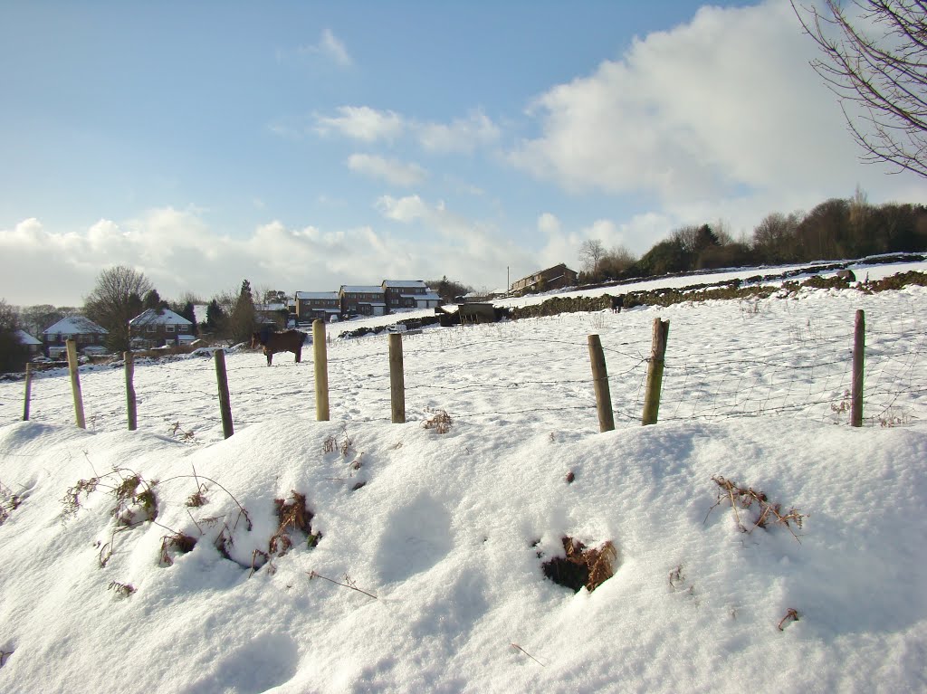 Snowy scene looking towards Aldene Road houses, Wadsley, Sheffield S6 by sixxsix