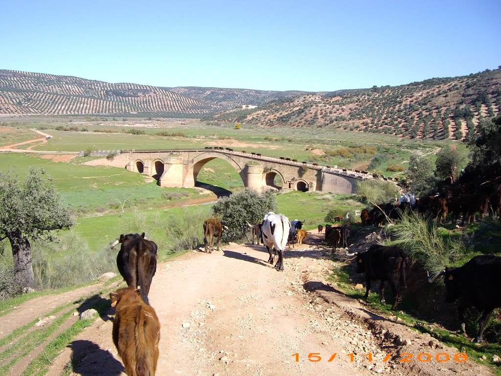 Puente Ariza,nov 2008 by Manuel F M