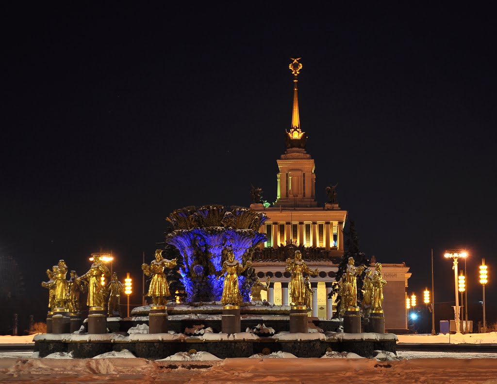 Fountain "Friendship of Nations" and Main exhibition pavilion at night by IPAAT