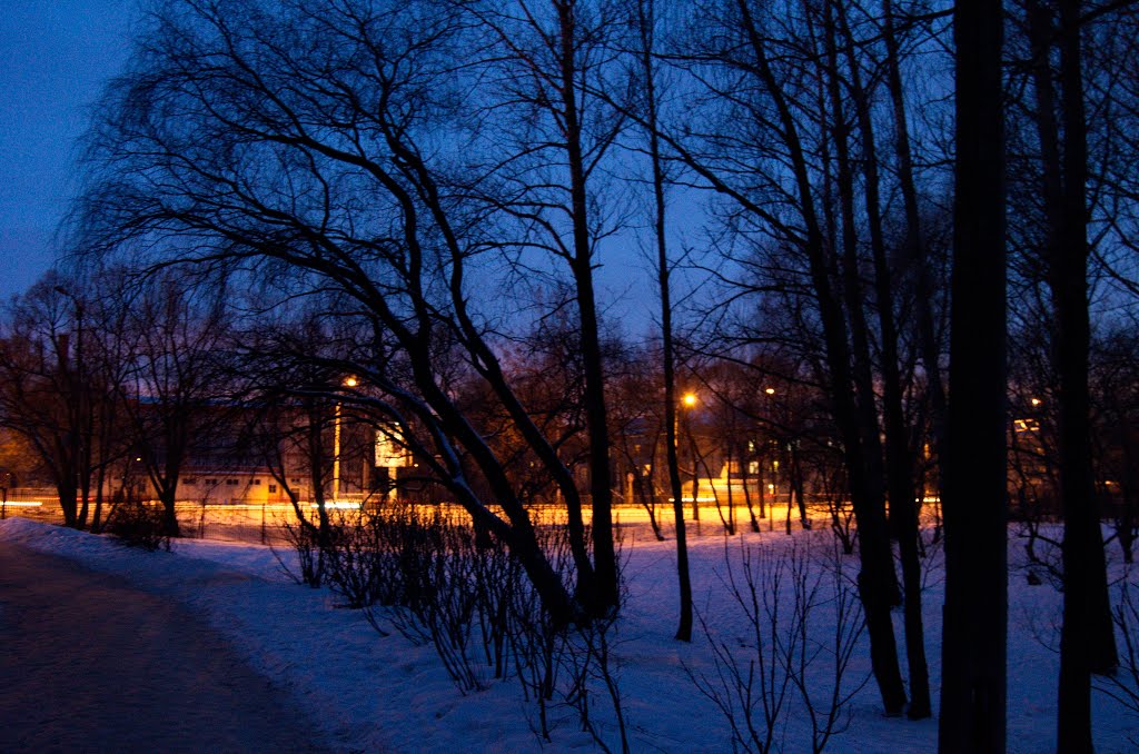 St. Petersburg. Strelna. On the territory of the boarding school № 49. Санкт-Петербург. Стрельна. На территории щколы-интерната №49. by Vladimir Batarin