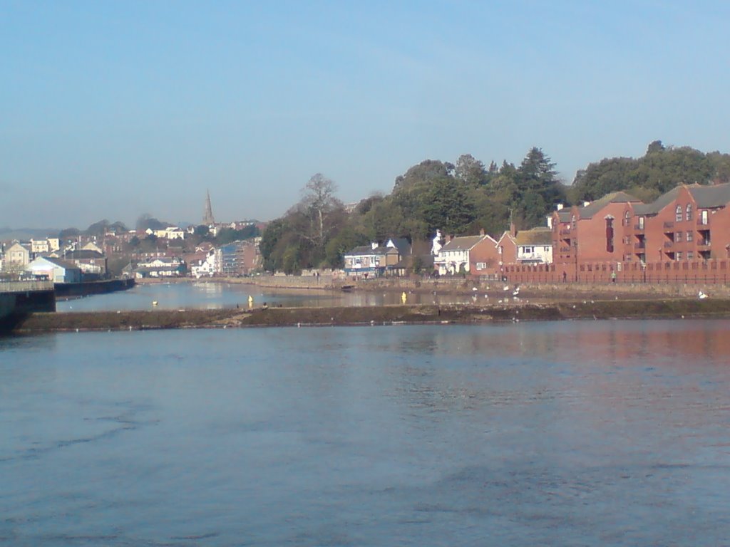 Exeter from Trew's Weir Suspension Bridge by Dave j Marsh