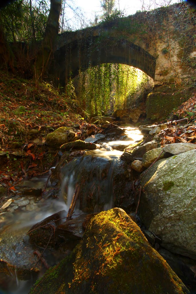 Ponte nel bosco 2, Stresa Piemonte 2013 by Marco Ferrari