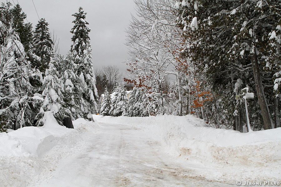 Chemin Depairon - jeromeplano.ca by Jerome Plano