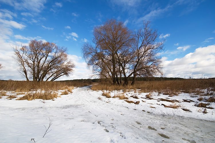 The end of winter by Lev Trusov