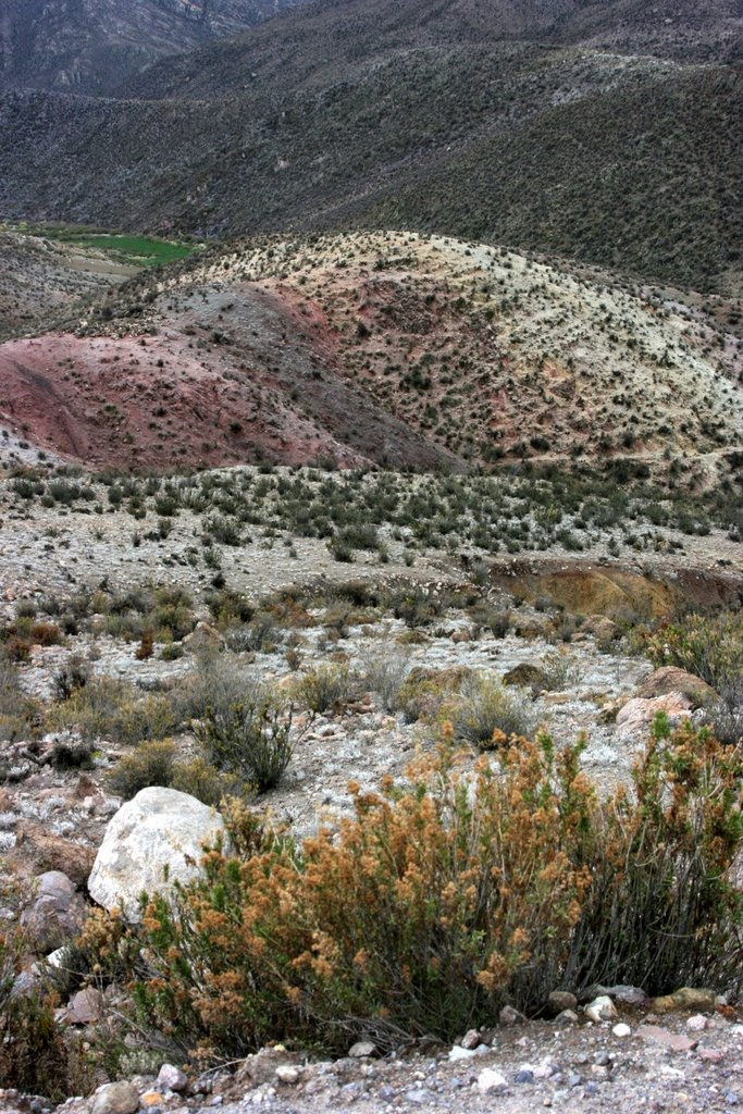 Saxamar - colinas multicolores (3) by Pedro Lázaro