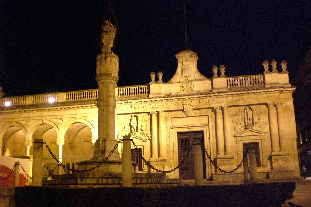 Monumento a la Asuncion de Ntra. señora--y el cabildo antiguo de fondo---jerez by Califa