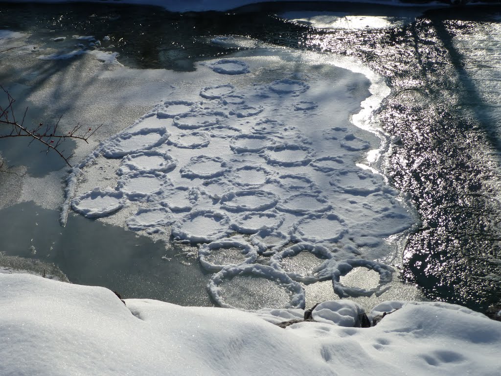 Eisrosetten im Auerbach, Oberaudorf, by aNNa.schramm