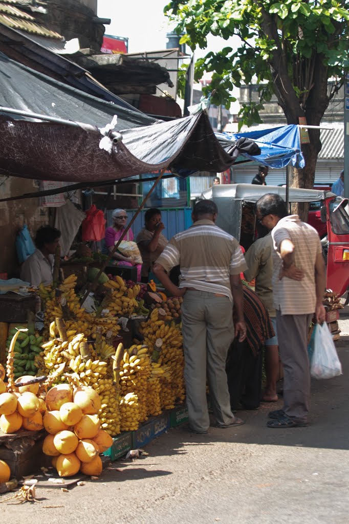 Коломбо, Шри-Ланка, январь 2013 / Colombo, Sri Lanka, jan 2013 www.abcountries.com by proplanetu.ru