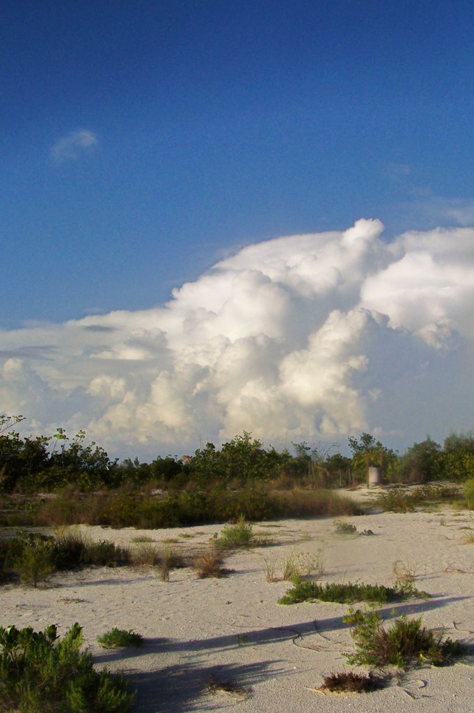 Sanibel, FL, USA by memyselfandi