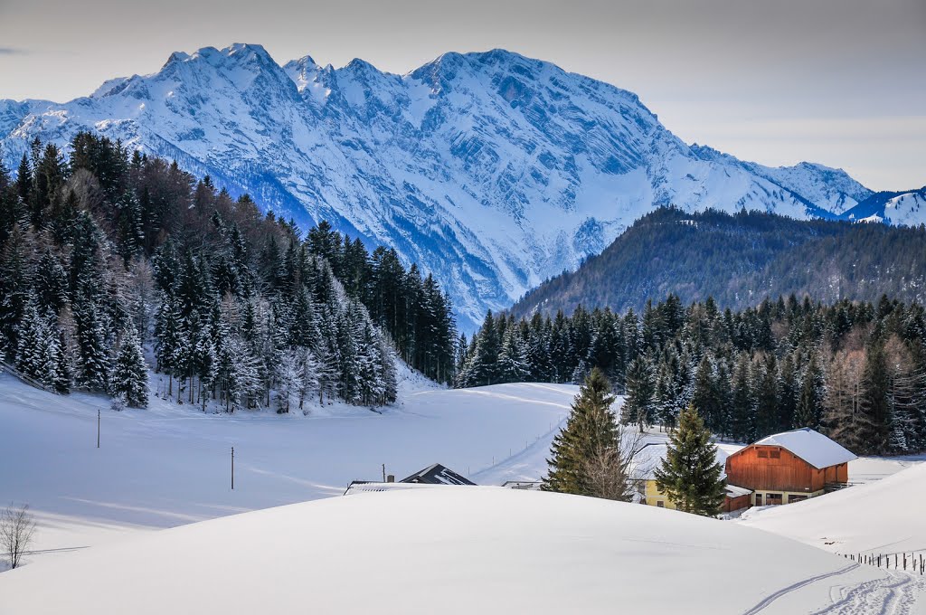 Winterträume,Salzburger Alm by Milovan Mićo Kovačević