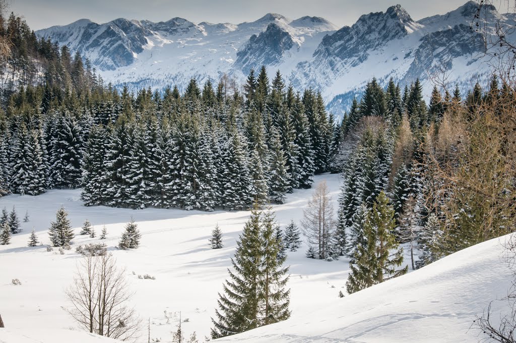 Winterträume,Salzburger Alm,Seewaldsee by Milovan Mićo Kovačević