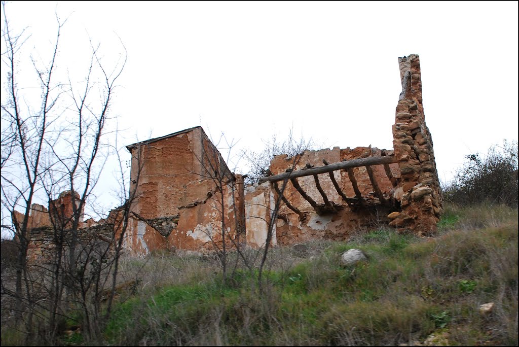 Turruncún (Arnedo, 27-1-2013) by Juanje 2712