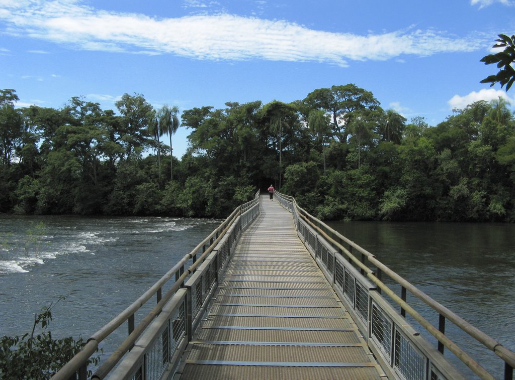 Camino a la garganta del diablo - Cataratas/Iguazú, Misiones, Argentina. by André Bonacin