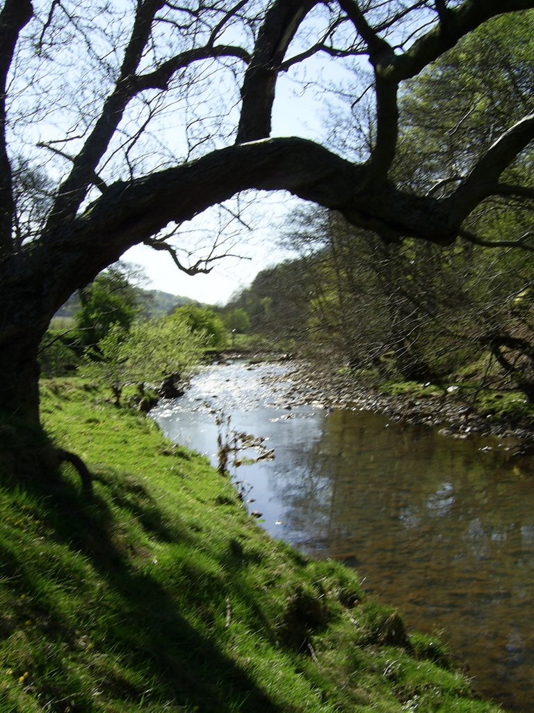 River Rhymney, Abertysswg by welshgog