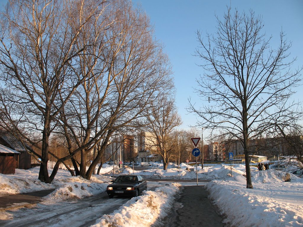 A. Dombrovska str., Rīga, LV by Rudolph LV