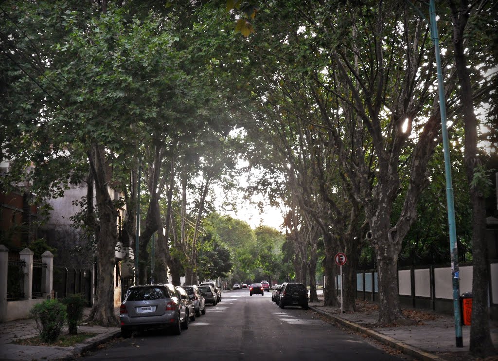 Calle mistral - DEVOTO by LichuKnzpt