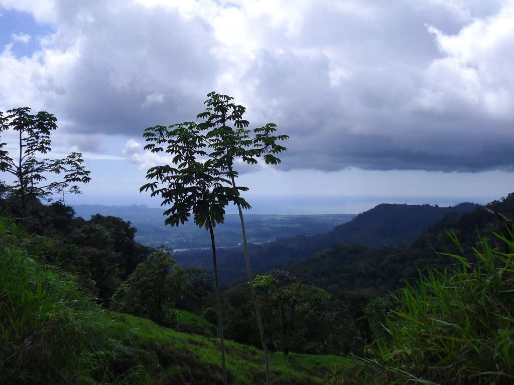 PAISAJE DEL RIO PAQUITA AL FONDO LA COSTA DE QUEPOS by JOHNNY PALMA