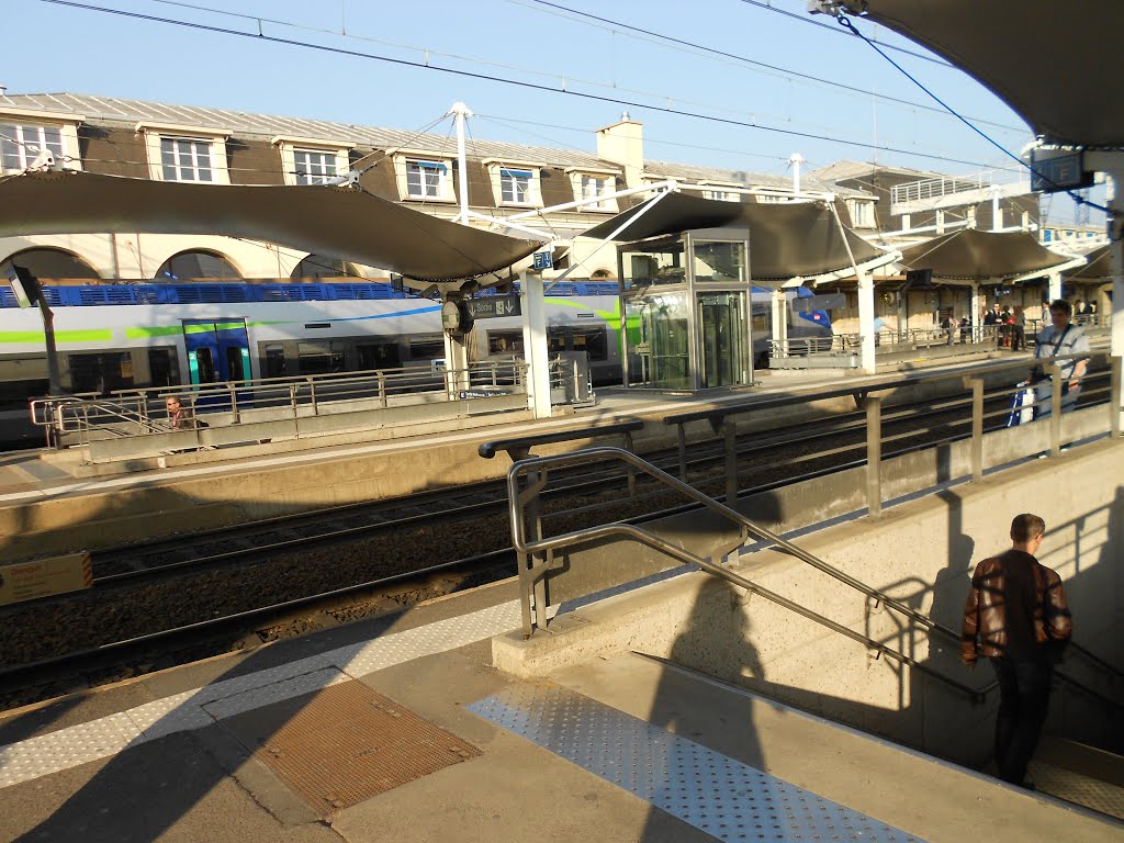 Gare du Mans by raphi10