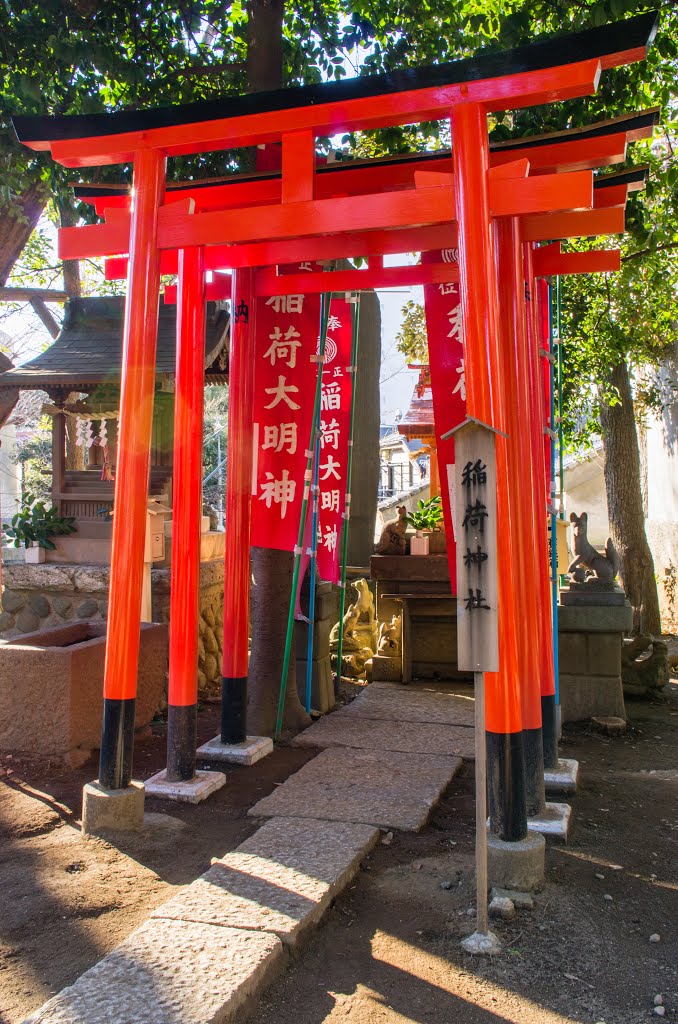 稲荷社@氷川神社 by Syncopated_Frog