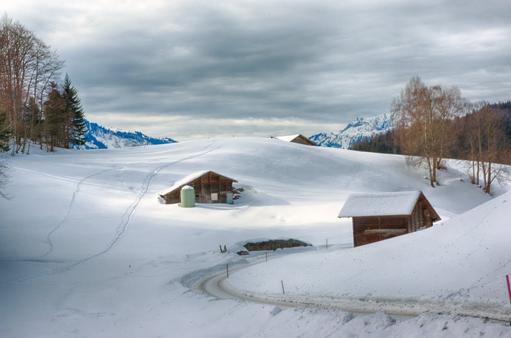 Panorama Trail Meiringen-Hasliberg by Werner Kratz