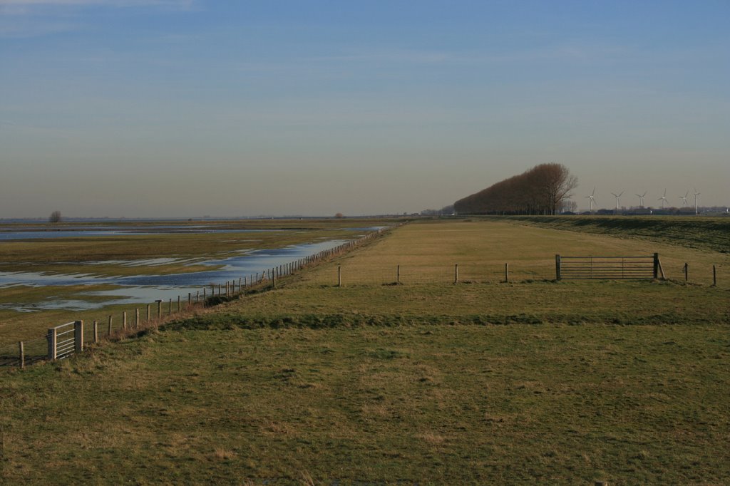 Gorzen bij het Haringvliet by J.G. Don