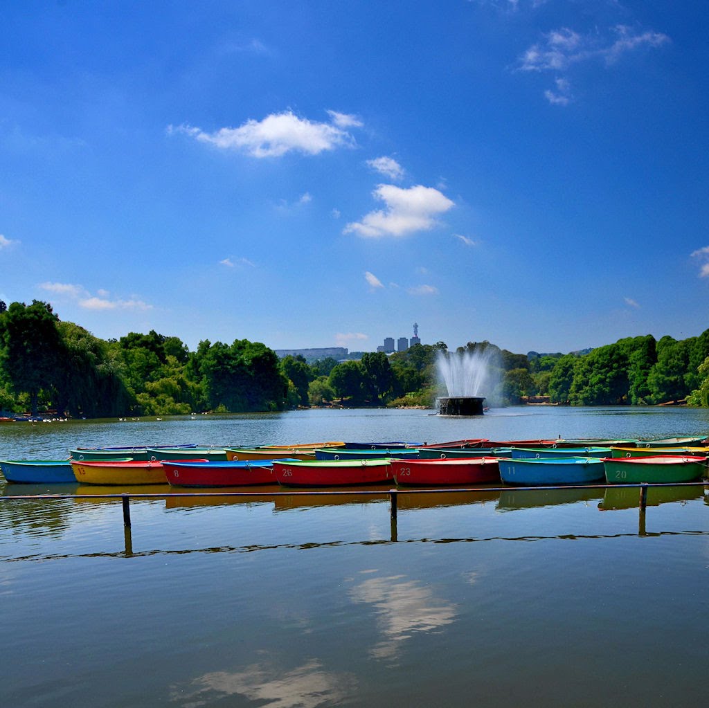 Boats on Zoo Lake by ossewa