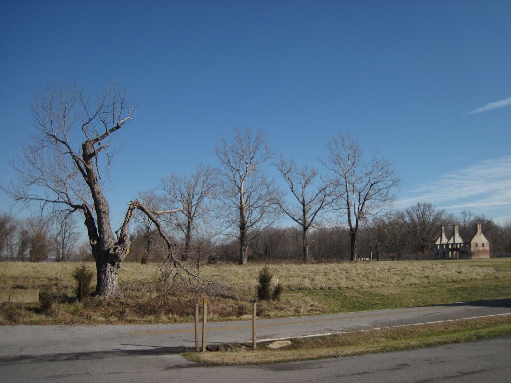 Broken limb with Marshall hallway ruins in the background by midatlanticriverrat